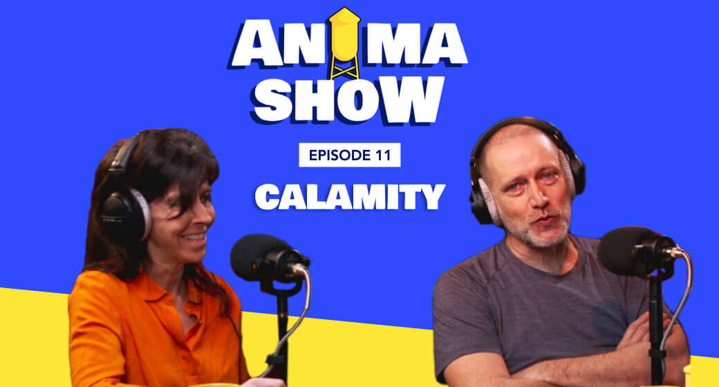 Animashow 11 calamity