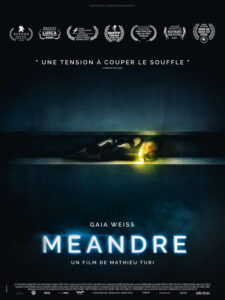MEANDRE Poster