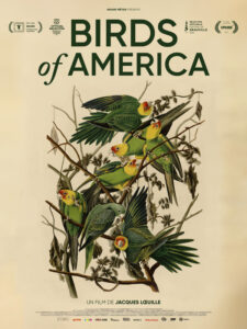 BIRDS OF AMERICA Poster