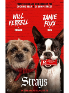 STRAYS Poster