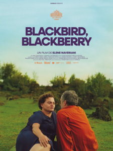 BLACKBIRD, BLACKBERRY Poster