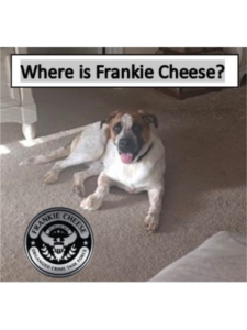 WHERE IS FRANKIE CHEESE ? Poster