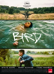 BIRD Poster