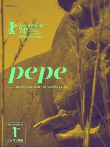 PEPE Poster