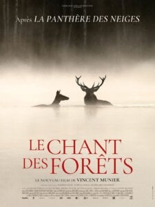LE CHANT DES FORÊTS Poster