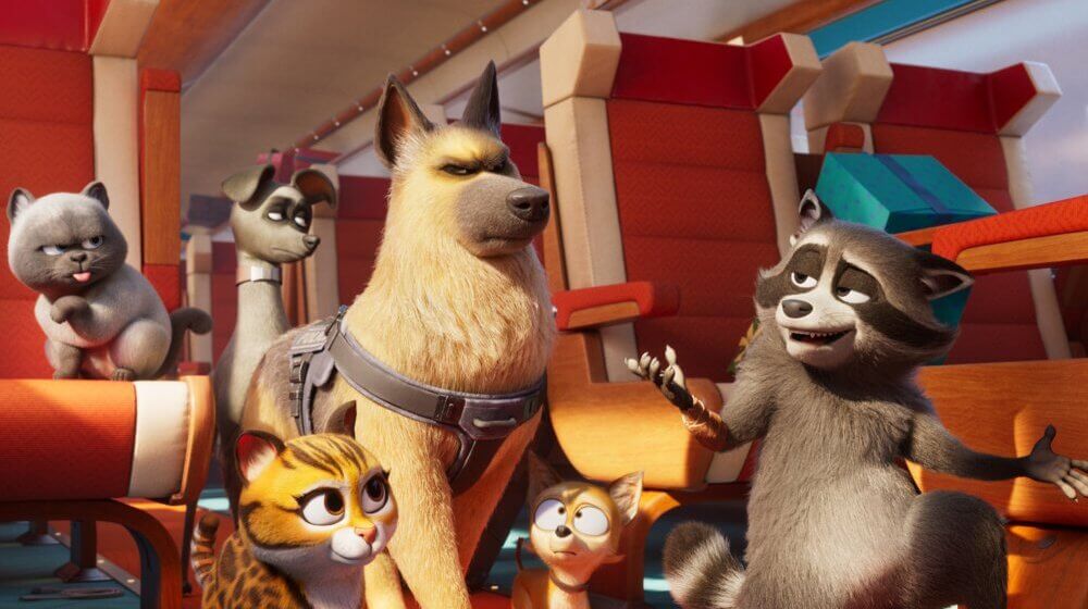 Falcon Express Film
