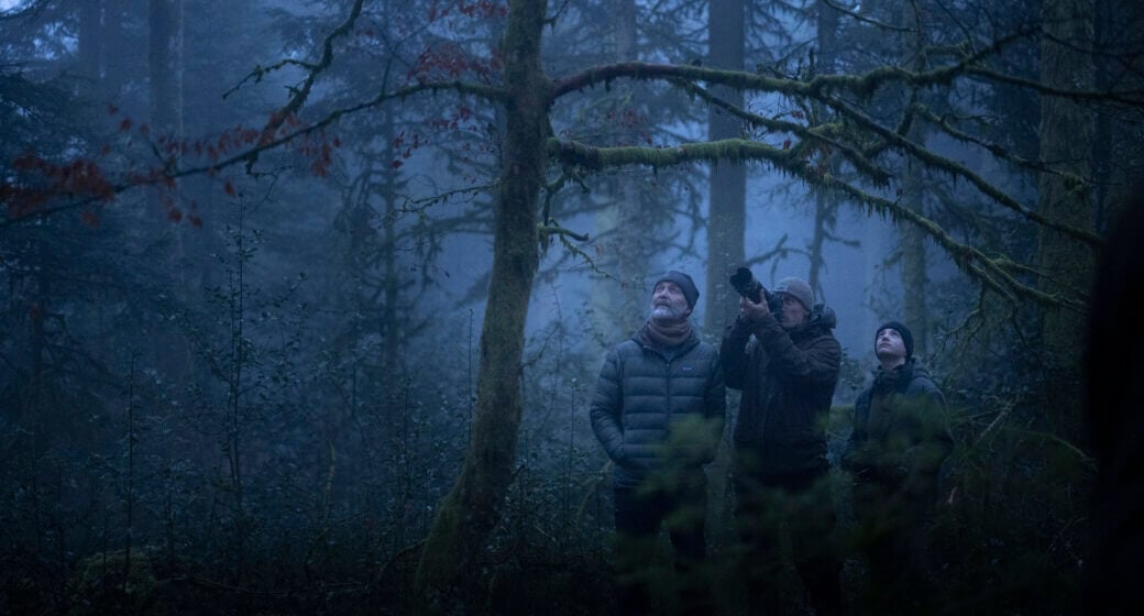 Le Chant des forêts