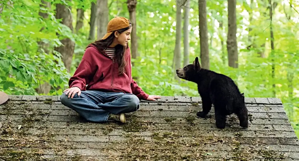 Melody pour un ours