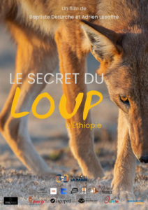 LE SECRET DU LOUP D'ÉTHIOPIE Poster