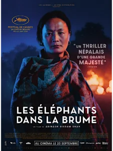 LES ÉLÉPHANTS DANS LA BRUME Poster