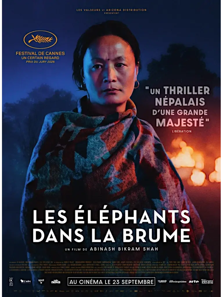 Les Éléphants dans la brume affiche