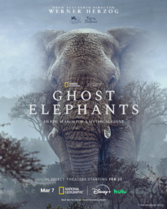GHOSTS ELEPHANTS Poster