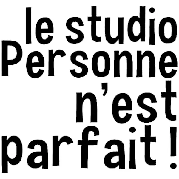 Le Studio Personne N'Est Parfait logo