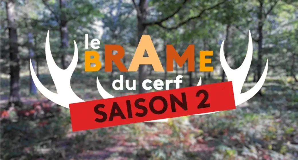 Le Brame du cerf