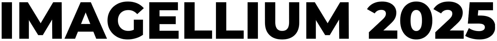 BELLINI PARTNERS
