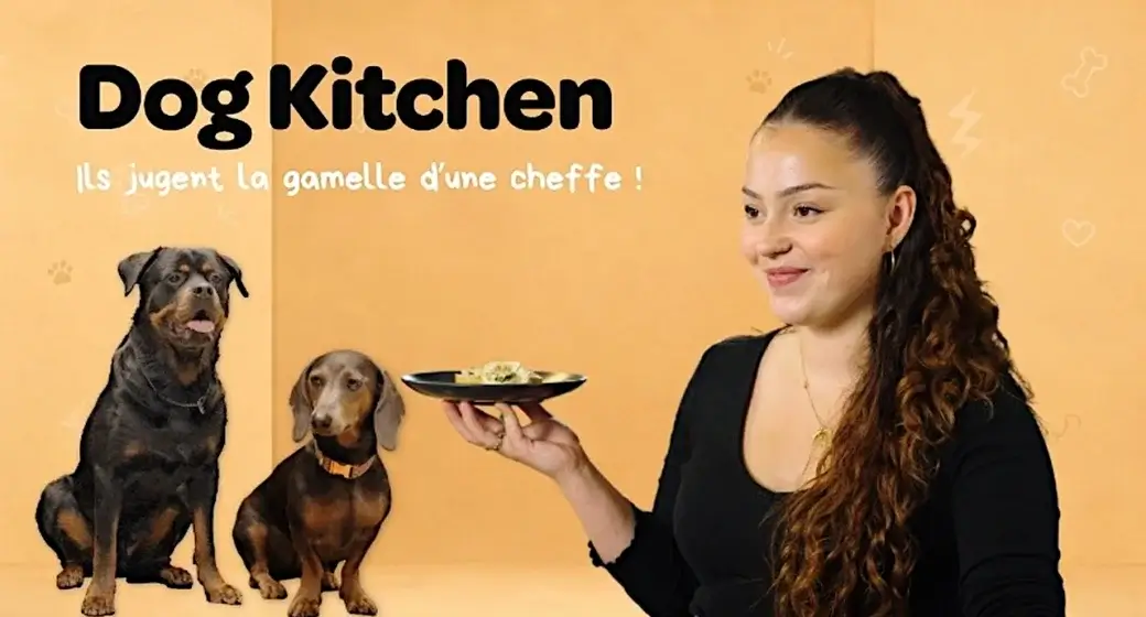 Dog Kitchen